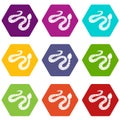 Spotted snake icon set color hexahedron