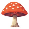 Spotted toadstool design Royalty Free Stock Photo