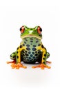 Spotted tropical frog isolated on white. Generative Ai.