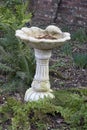 Decorative White Stone Bird Bath amongst the Ferns