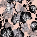 Spotty and exotic black orchid floral garden flower tropical mood.