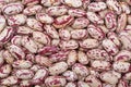 Spotty white-red haricot beans Royalty Free Stock Photo