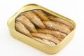 Sprat Royalty Free Stock Photo