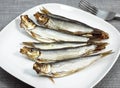 SPRAT Royalty Free Stock Photo