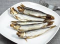 Sprat Fish, sprattus sprattus, Smoked Fishes in a Plate Royalty Free Stock Photo