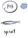 Sprat silver fish