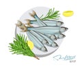 Sprat sketch vector fish icon. Isolated marine atlantic ocean sprats with rosemary and lemon on a plate. Isolated symbol