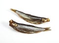 Sprat, Smoked Fish, sprattus sprattus Royalty Free Stock Photo