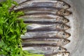 Salted sprat fish with greens. Royalty Free Stock Photo