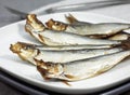 SPRAT Royalty Free Stock Photo