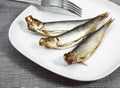 SPRAT Royalty Free Stock Photo