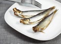 SPRAT sprattus sprattus, SMOKED FISH ON PLATE Royalty Free Stock Photo