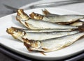 SPRAT sprattus sprattus, SMOKED FISH ON PLATE Royalty Free Stock Photo