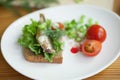 Sprats, bread and tomatoes Royalty Free Stock Photo