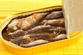 Sprats in oil Royalty Free Stock Photo