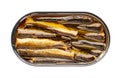 Sprats in oil, opened can of canned fish, top view, isolated on white background with clipping path Royalty Free Stock Photo