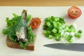 Sprats, onion and tomatoes Royalty Free Stock Photo