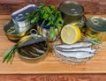 Sprats in open tin can among canned fish, raw fish