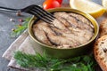 Sprats in an open tin can, stacked in rows, bread, herbs, lemon, fresh tomatoes on a concrete background. Royalty Free Stock Photo