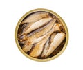 Sprats, smoked canned fish in oil, in open tin can opened without a lid, isolated on white background with clipping path Royalty Free Stock Photo