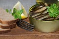 Sprats in a tin and coarse rye bread Royalty Free Stock Photo