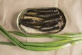 Sprats in an tin pot Royalty Free Stock Photo