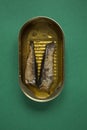 Sprats in an tin pot Royalty Free Stock Photo