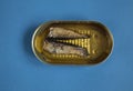 Sprats in an tin pot Royalty Free Stock Photo