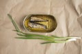 Sprats in an tin pot Royalty Free Stock Photo