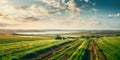 sprawling agricultural farm with fields of crops, tractors, and machinery involved in food production for a growing Royalty Free Stock Photo