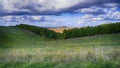 Sprawling landscape of lush green grass with a vast array of tall trees in Tuscany, Italy