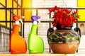 Spray bottle with beautiful red flowers on clay vase with cherry fruit painting above wood table