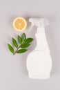 Spray bottle with natural homemade household cleaner, bleach or air freshener made with lemon Royalty Free Stock Photo