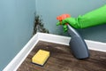 Spray bottle and sponge near black mould wall