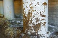 Spray dirt on poles under the bridge on an impassable road. Royalty Free Stock Photo