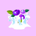 Spray and drop, the movement of the liquid, blueberries, splash of juice and yogurt, drops and stains. Abstract vector