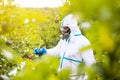 Spray ecological pesticide. Farmer fumigate in protective suit and mask lemon trees. Man spraying toxic pesticides, pesticide, Royalty Free Stock Photo