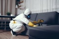 cockroach pest control kill insect pesticide sofa termite exterminator uniform. Generative AI.