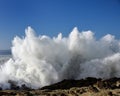 Spray From Huge Waves At Shore Acres State Park, Oregon Royalty Free Stock Photo