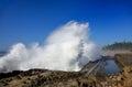 Spray From Huge Waves At Shore Acres State Park, Oregon Royalty Free Stock Photo