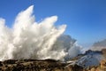 Spray From Huge Waves At Shore Acres State Park, Oregon Royalty Free Stock Photo