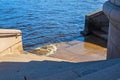 The spray of the Neva river.