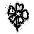 Spray Painted Graffiti flower Sprayed isolated with a white background Royalty Free Stock Photo