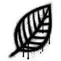 Spray Painted Graffiti leaves Sprayed isolated with a white background Royalty Free Stock Photo