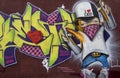 Spray Painter Graffiti