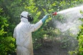 Spray pesticides, pesticide on fruit lemon in growing agricultural plantation, spain. Man spraying or fumigating pesti, pest Royalty Free Stock Photo