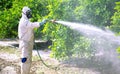 Spray pesticides, pesticide on fruit lemon in growing agricultural plantation, spain. Man spraying or fumigating pesti, pest Royalty Free Stock Photo
