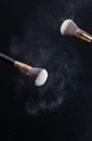 sprayed with a professional cosmetic brush powder powder Royalty Free Stock Photo