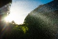 Sprayed water droplets from garden hose with the sunset in the background. Sharp droplet mist in bow shape. Watering the garden on