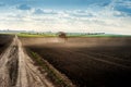 sprayer with long arms fertilizes fields at springtime